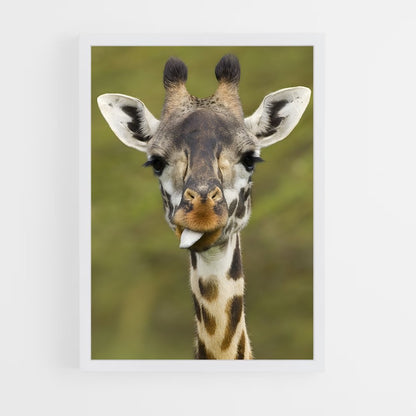 giraffe-7 cadre Blanc