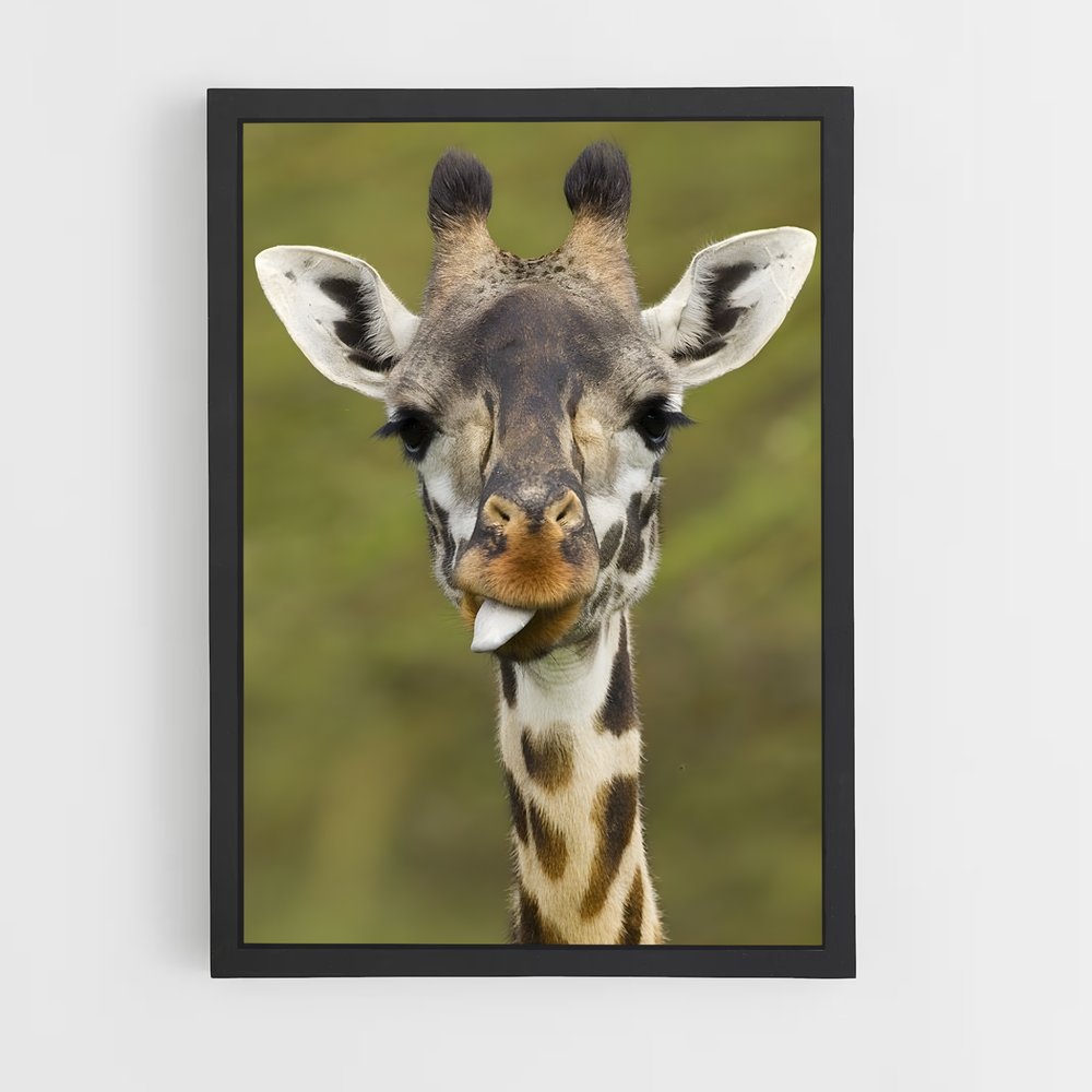 giraffe-7 cadre Noir