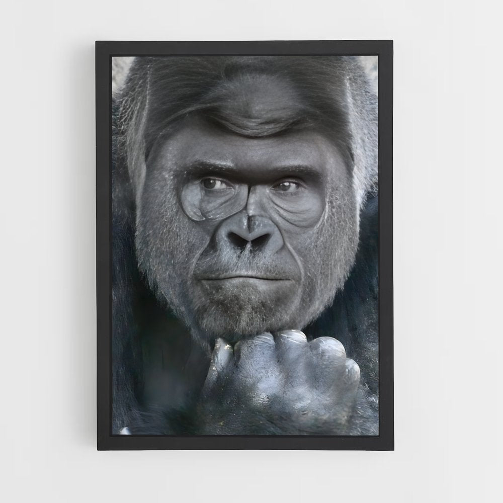 gorilla-5 cadre Noir