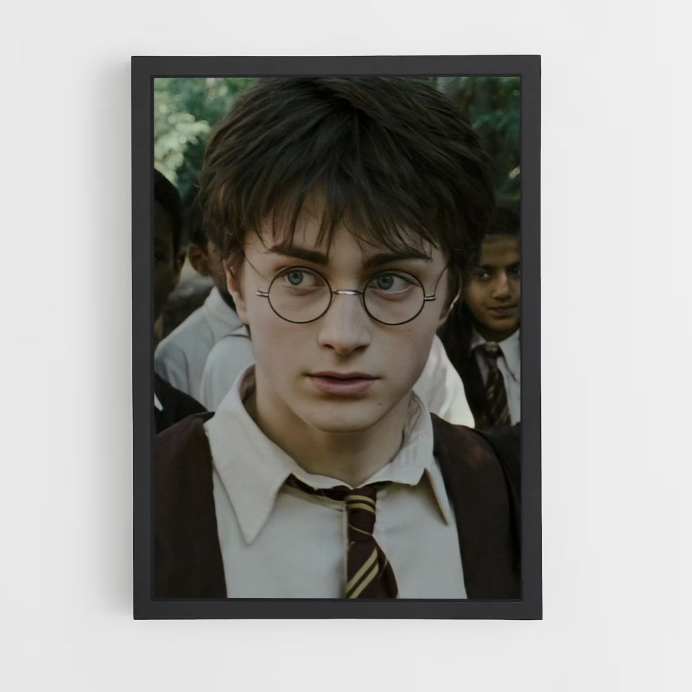 Harry Potter-Poster