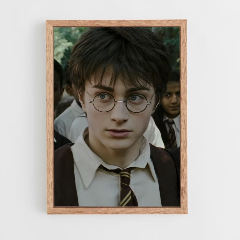 Harry Potter-Poster