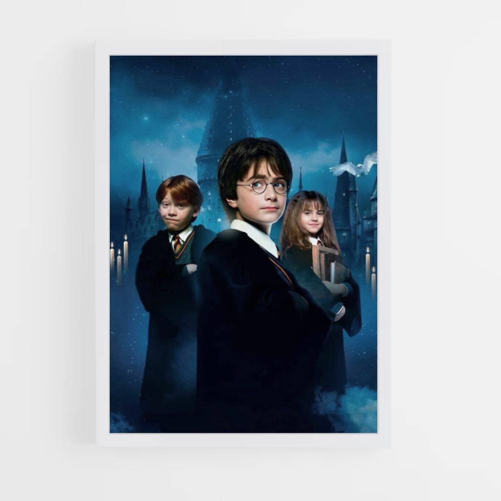 Poster Harry Ron Hermine