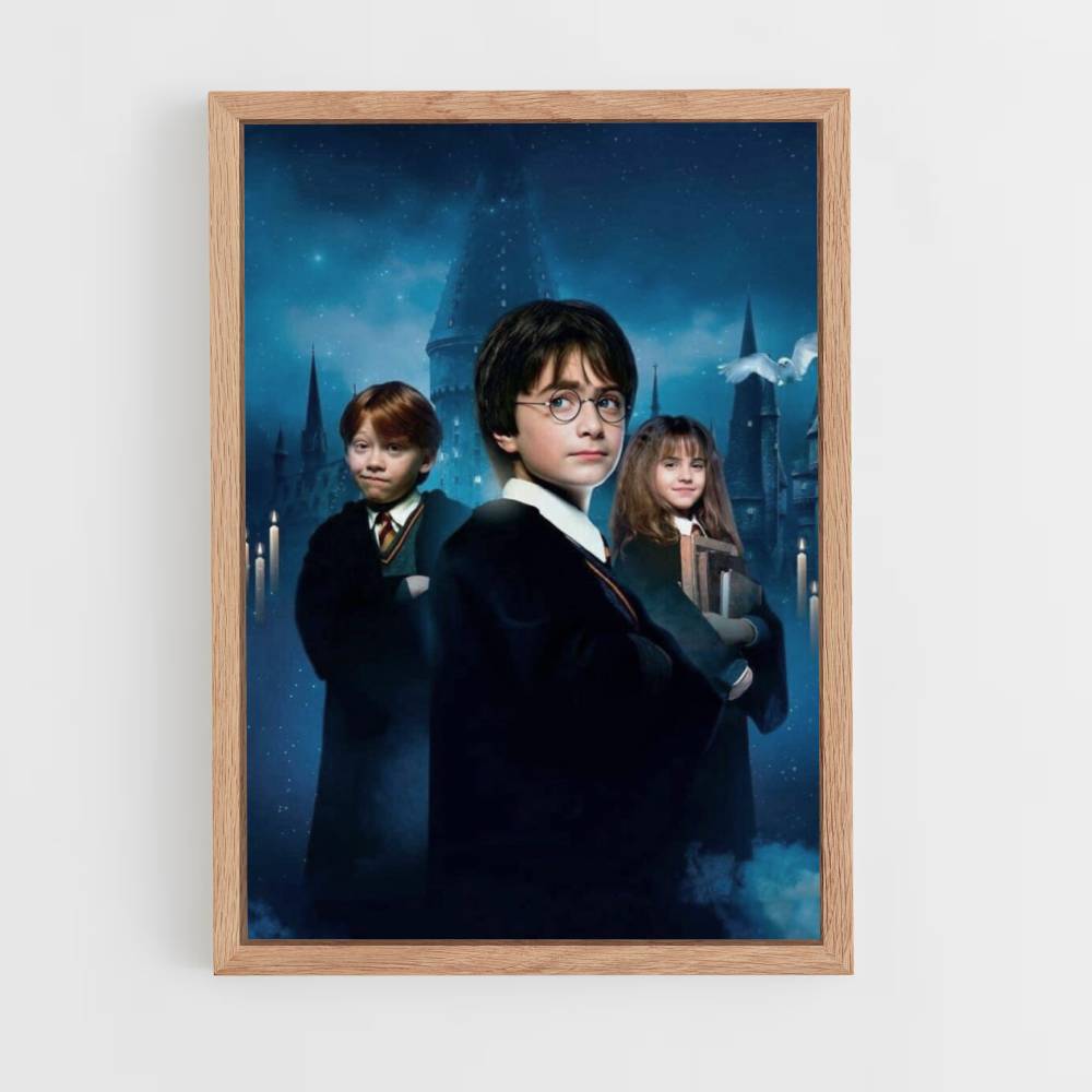 Poster Harry Ron Hermine