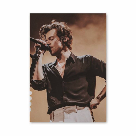 Poster Harry Styles Concert