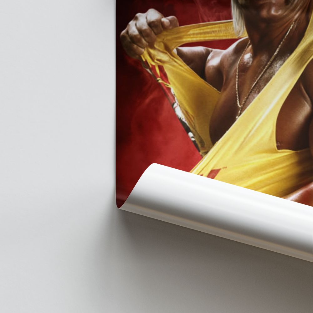 Hulk Hogan Poster