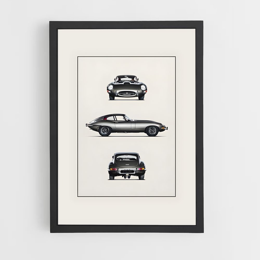 jaguar-11 cadre Noir