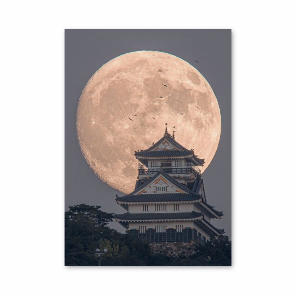 Poster Japan Tempelmond