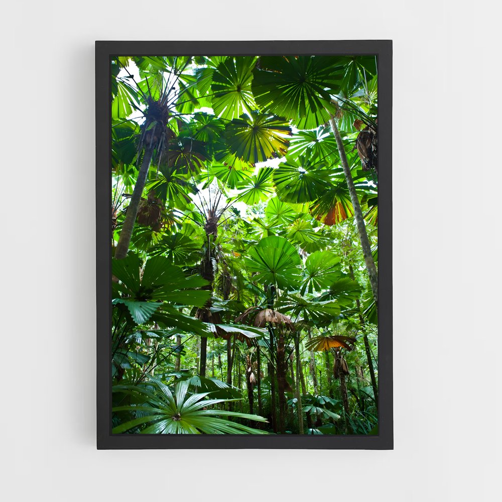 jungle-6 cadre Noir