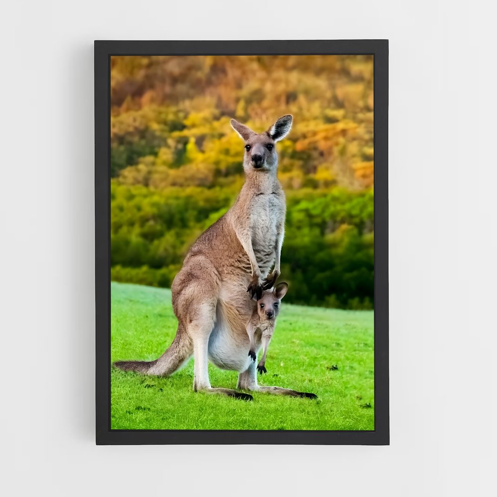 kangaroo-1 cadre Noir