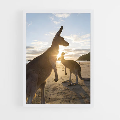 kangaroo-5 cadre Blanc