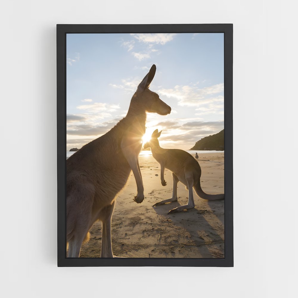 kangaroo-5 cadre Noir