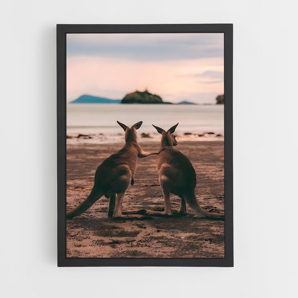 kangaroo-8 cadre Noir