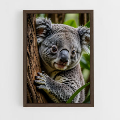 koala-8 cadre Bois foncé