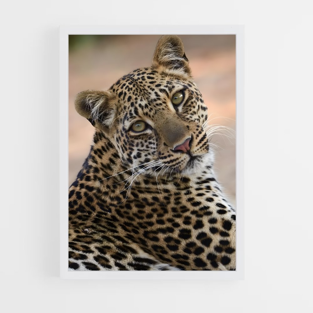 leopard-2 cadre Blanc