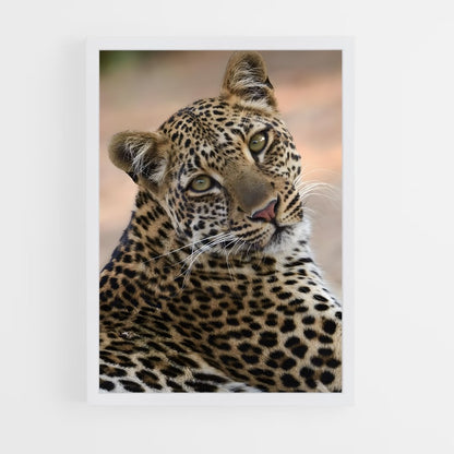 leopard-2 cadre Blanc