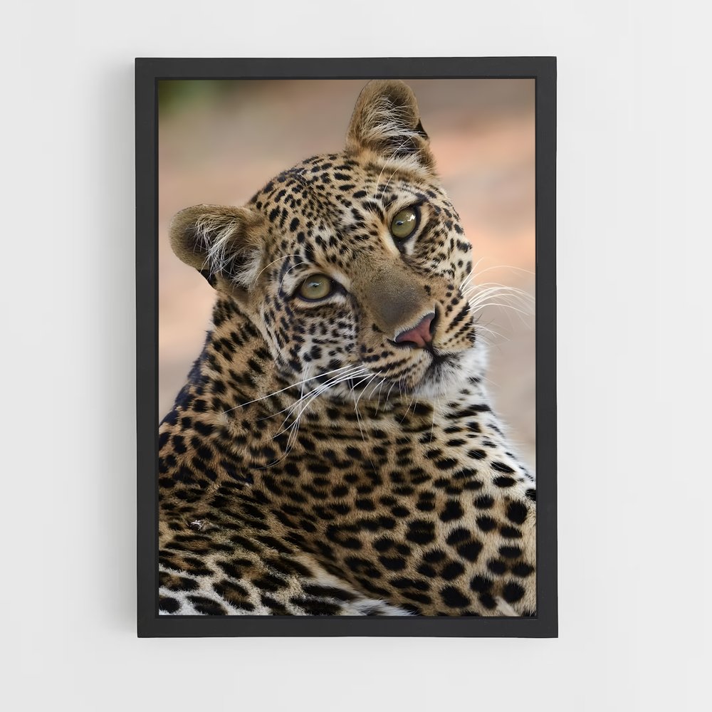 leopard-2 cadre Noir