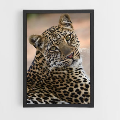 leopard-2 cadre Noir