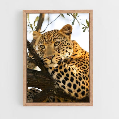 leopard-6 cadre Bois clair