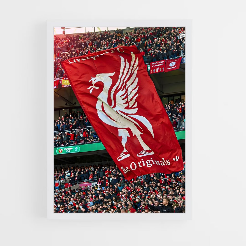 liverpool-6 cadre Blanc