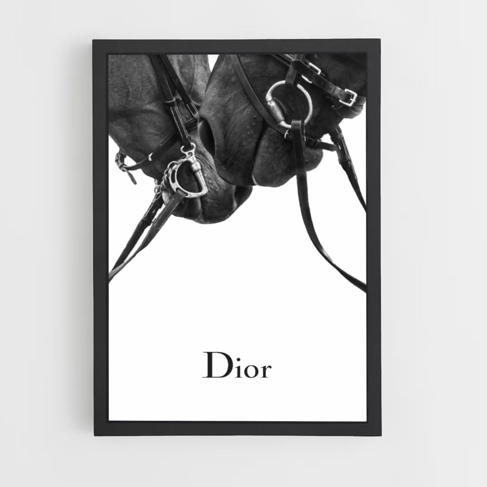 Poster Dior Pferde