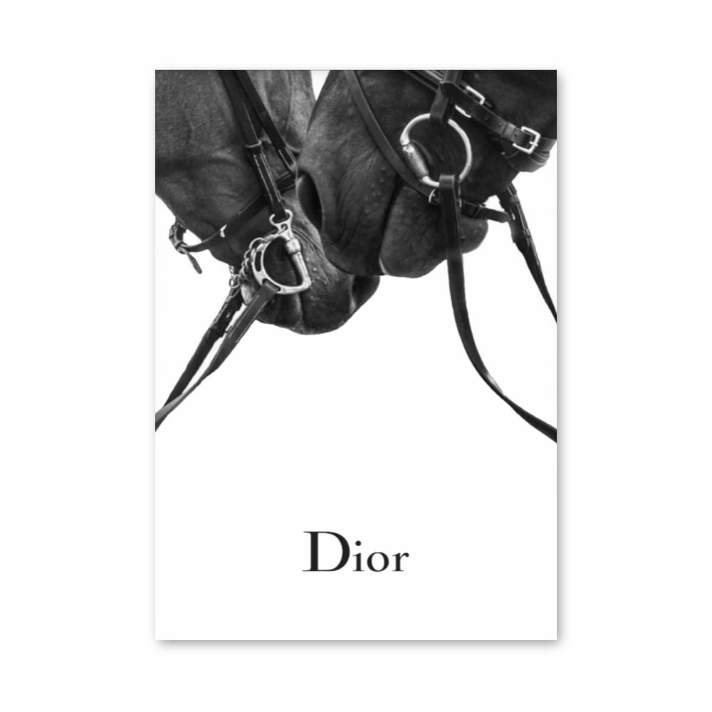 Poster Dior Pferde