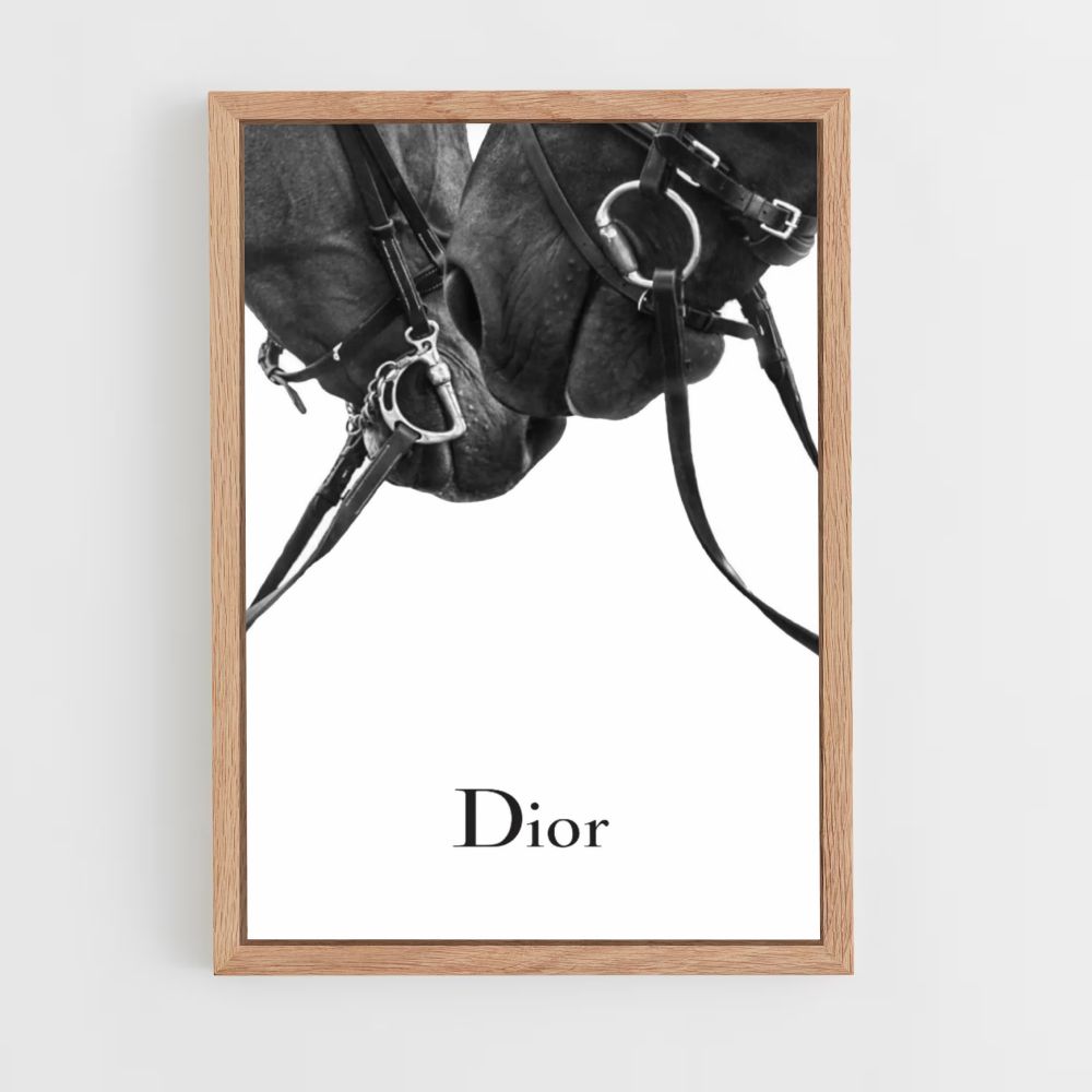 Poster Dior Pferde