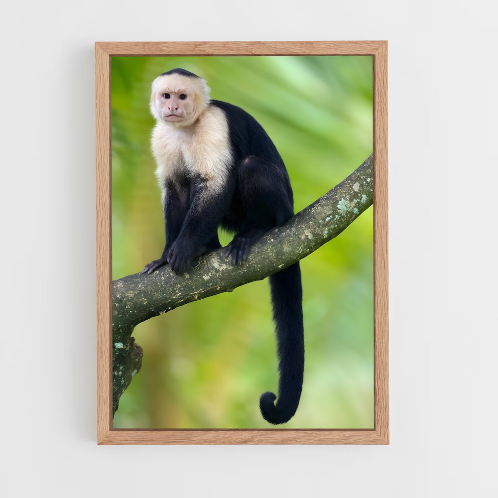 monkey-1 cadre Bois clair
