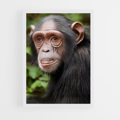 monkey-11 cadre Blanc