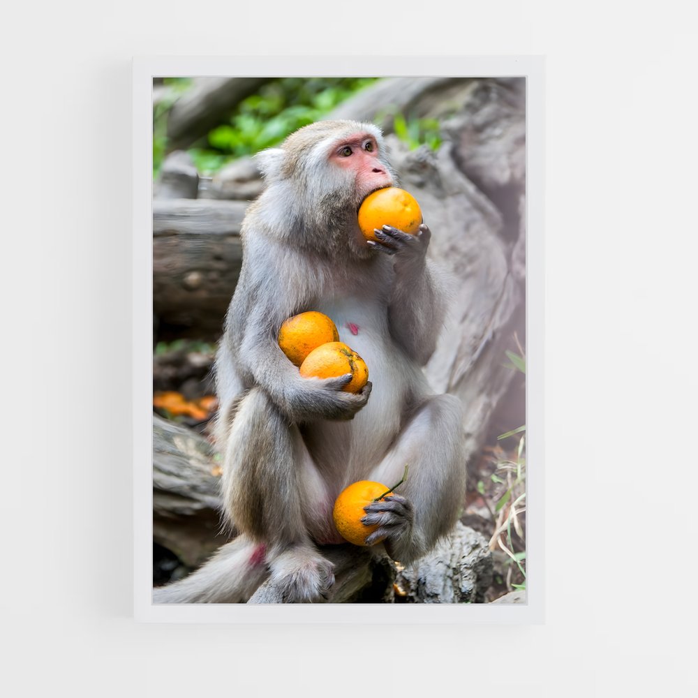 monkey-5 cadre Blanc