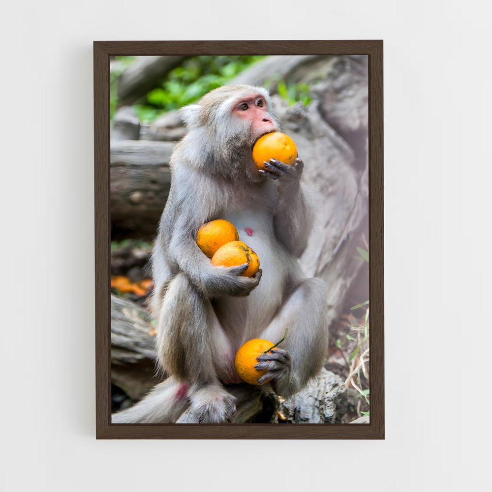 monkey-5 cadre Bois foncé