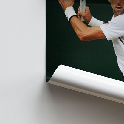 Poster Djokovic Ball