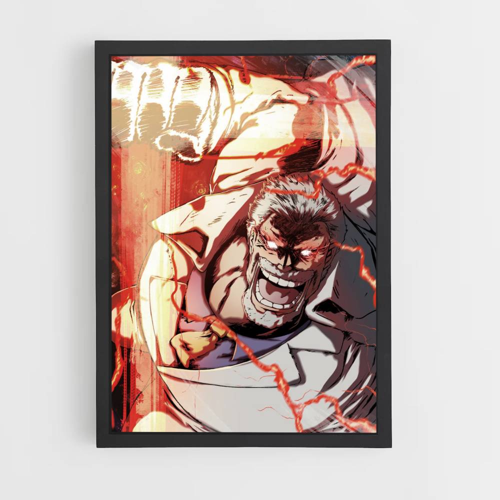 Poster Vizeadmiral Garp