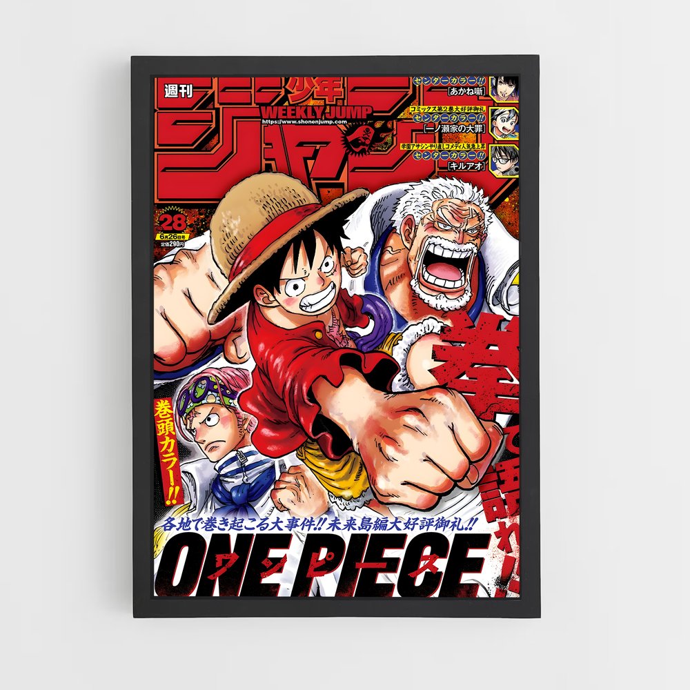 one-piece-3 cadre Noir