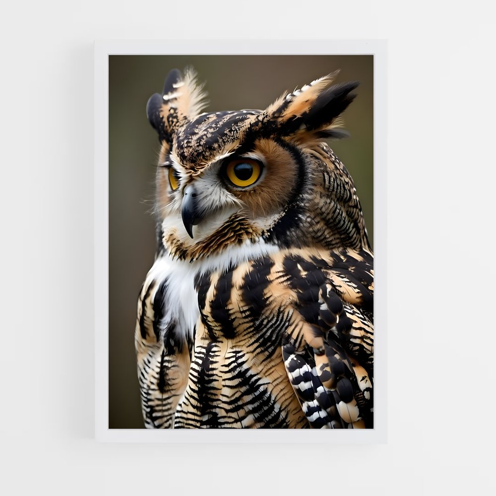owl-1 cadre Blanc