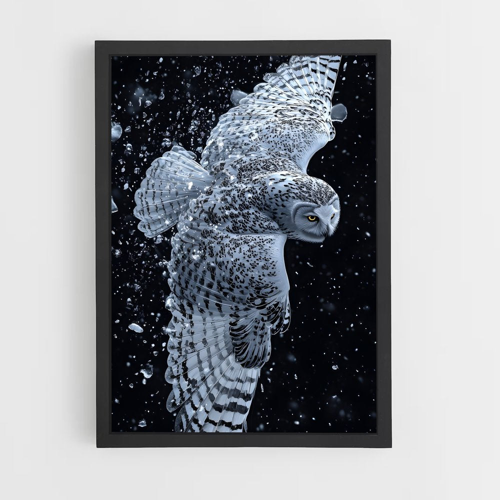 owl-3 cadre Noir