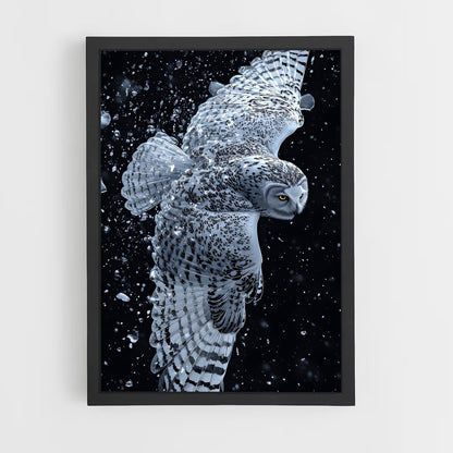 owl-3 cadre Noir