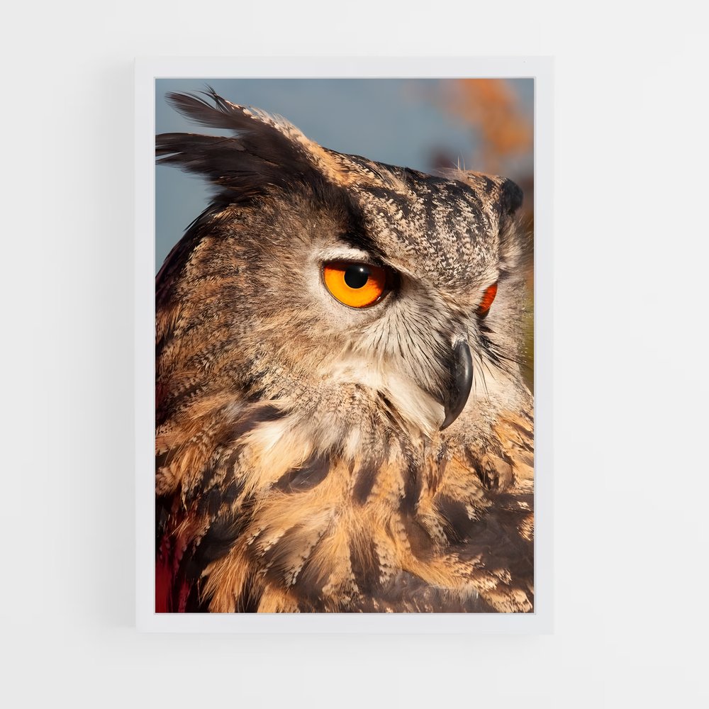 owl-4 cadre Blanc