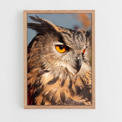 owl-4 cadre Bois clair
