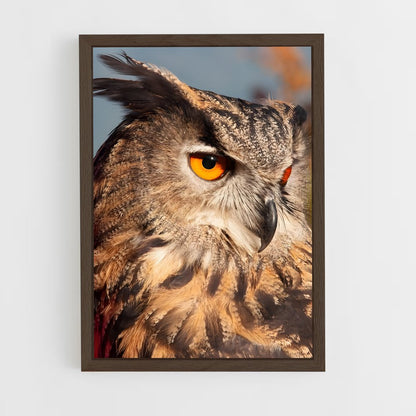 owl-4 cadre Bois foncé