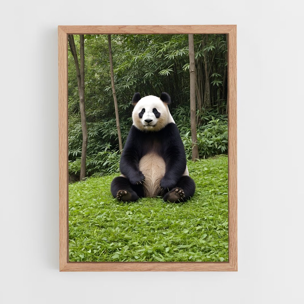 panda-2 cadre Bois clair