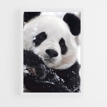 panda-4 cadre Blanc