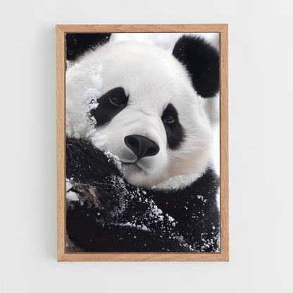 panda-4 cadre Bois clair