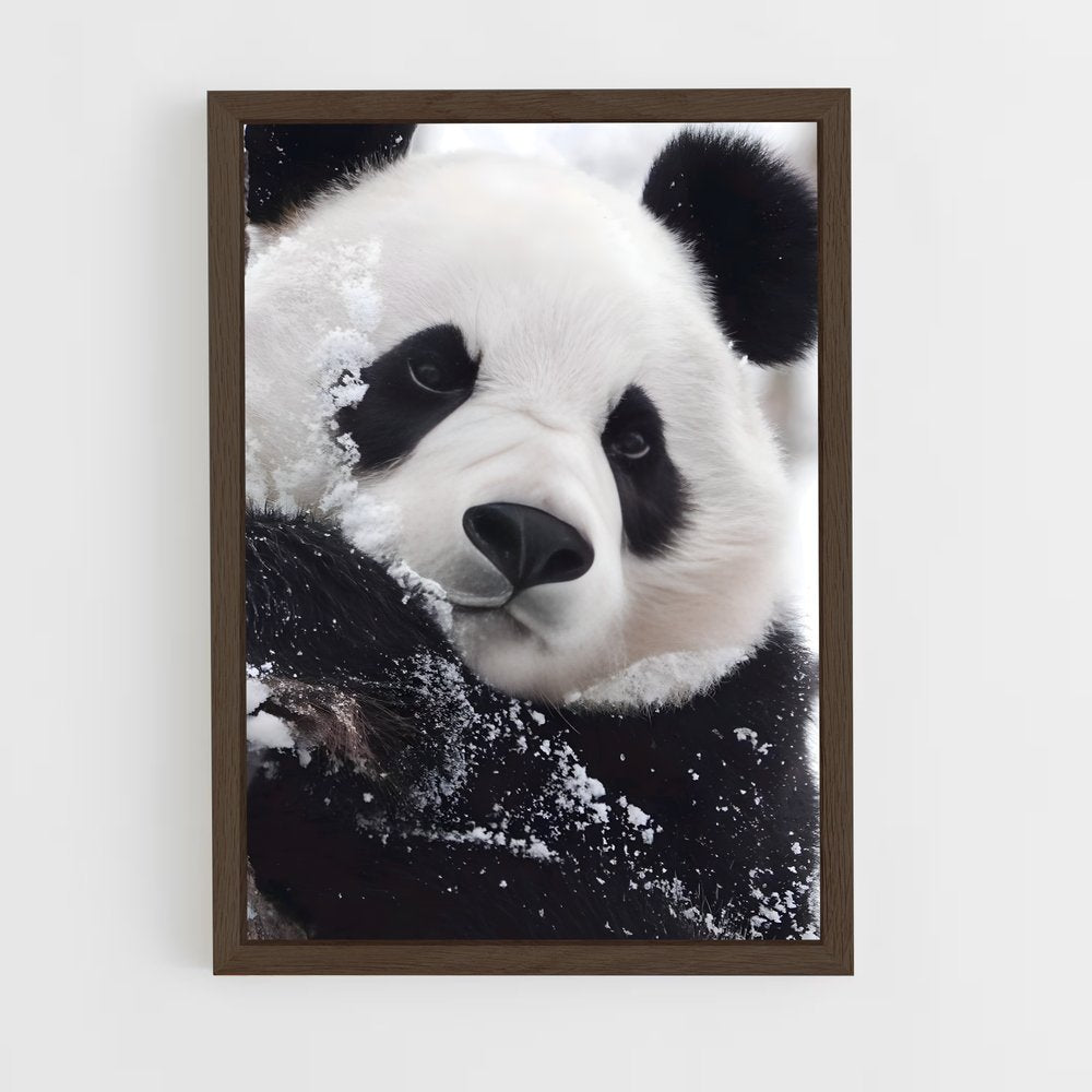 panda-4 cadre Bois foncé