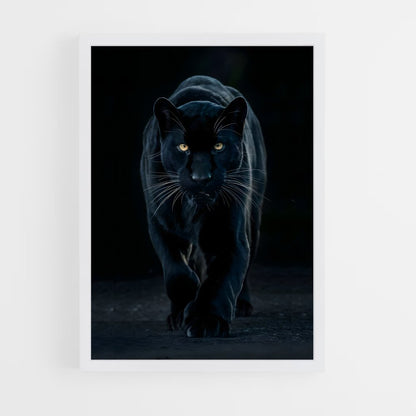 panther-6 cadre Blanc