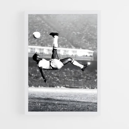 pele-2 cadre Blanc
