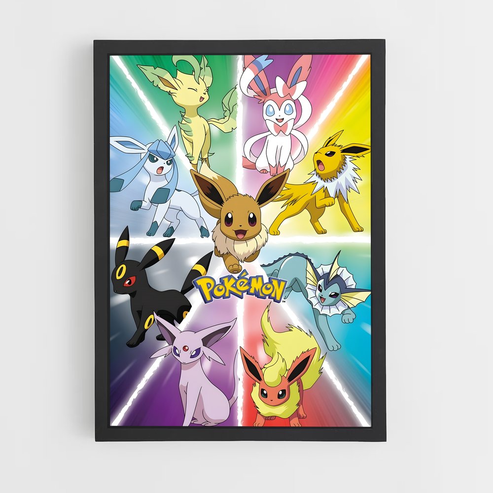 pokemon-12 cadre Noir