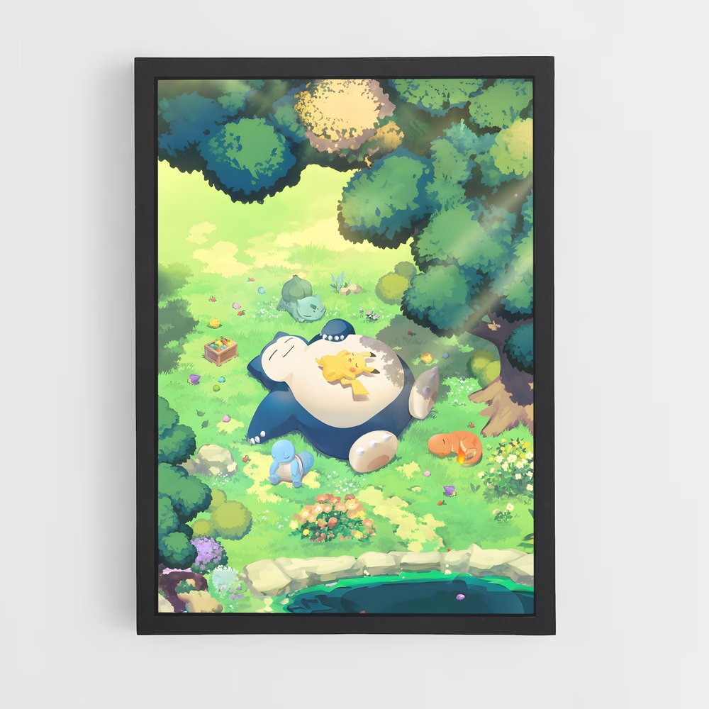 pokemon-17 cadre Noir