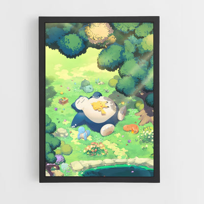 pokemon-17 cadre Noir