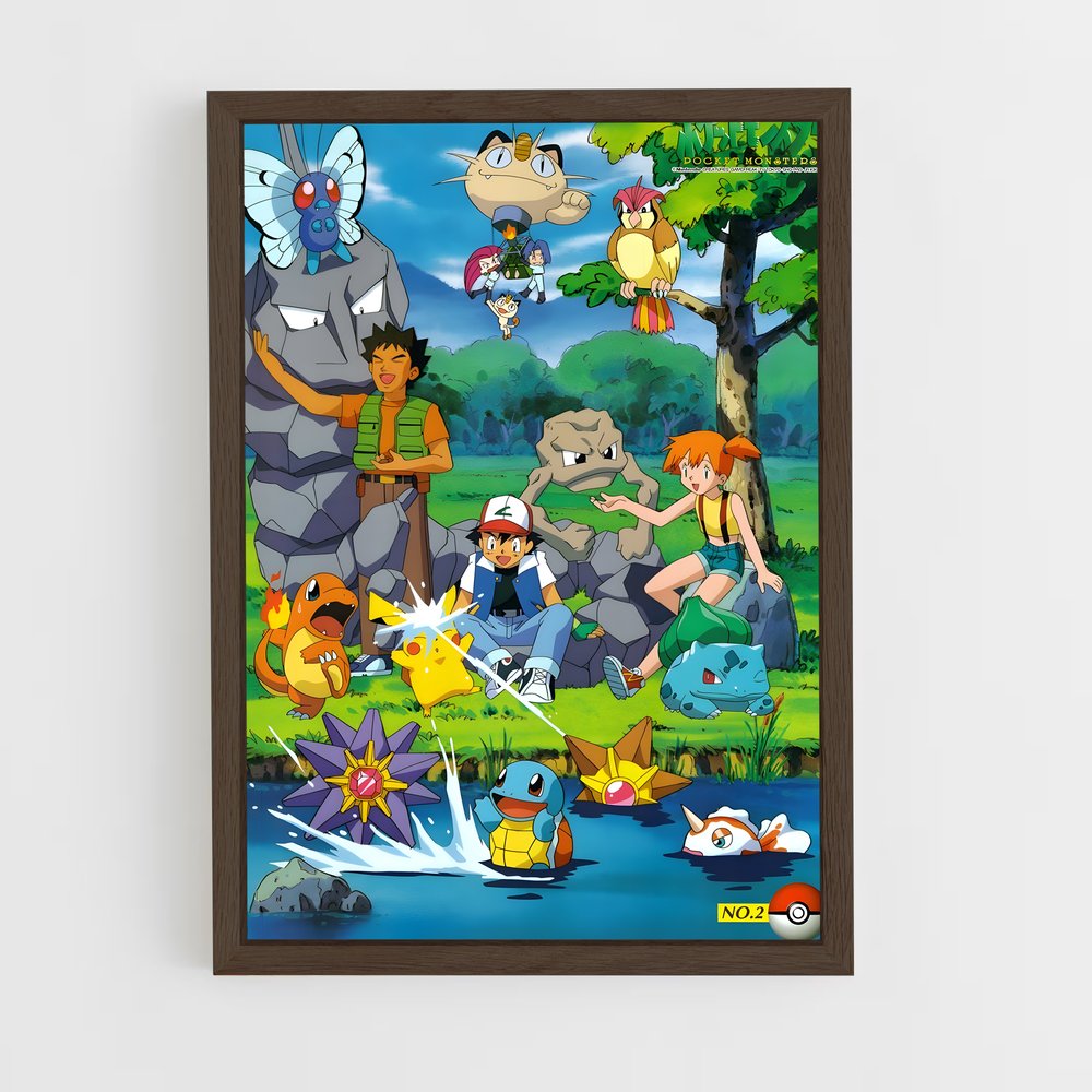 pokemon-6 cadre Bois foncé