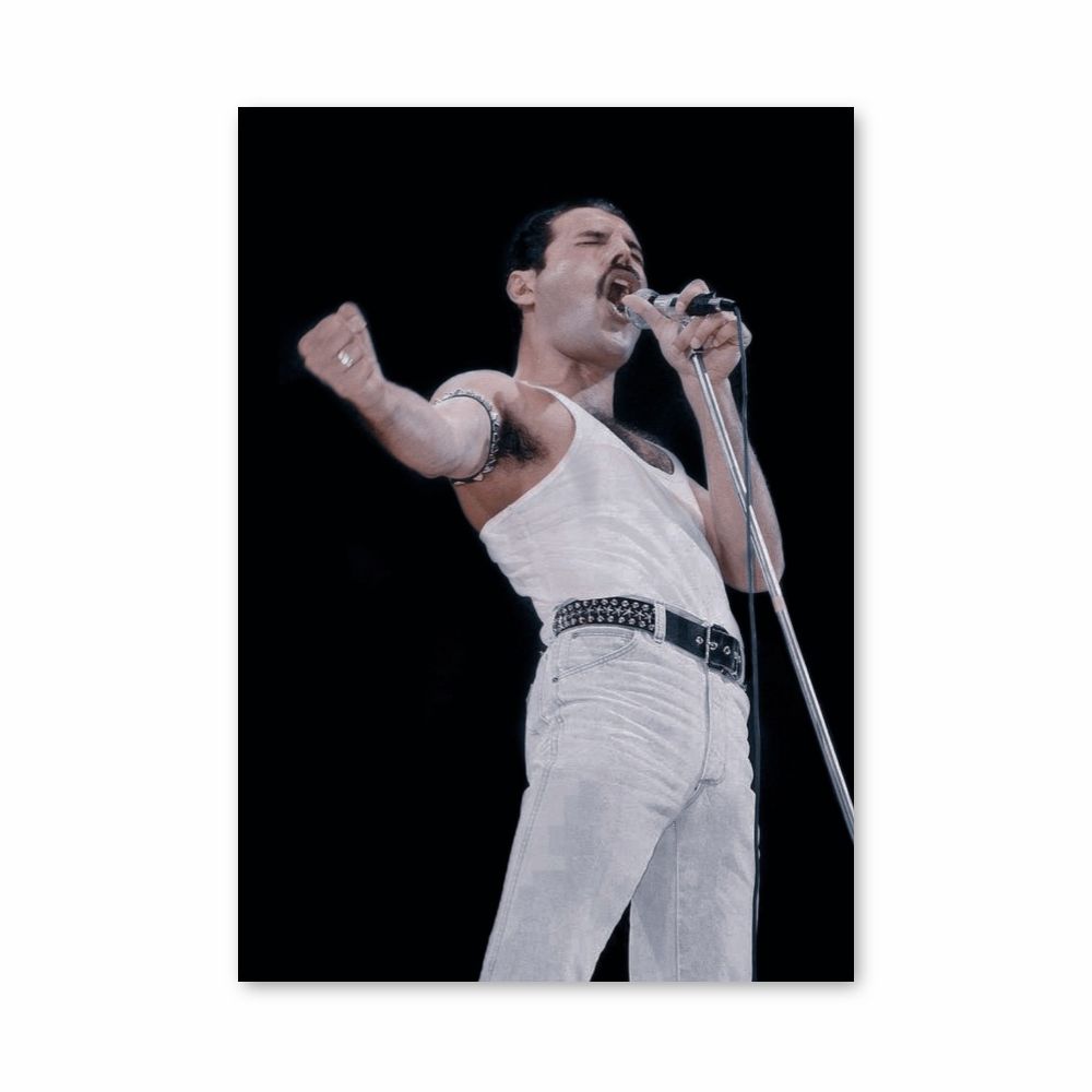 Poster Freddy Mercury singt